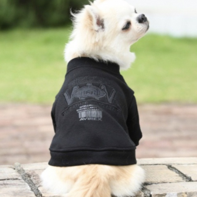 わんちゃん洋服タグなし新品 - 通販 - hanackenovinky.cz