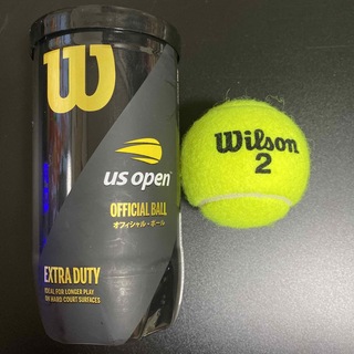wilson - wilson 硬式テニスボール1球
