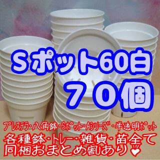 《Sポット60》白 70個 スリット鉢 プラ鉢 2号鉢相当 多肉植物 プレステラ(プランター)