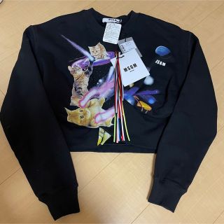 値下　MSGM 猫スウェット