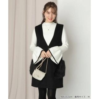 Apuweiser-riche - 完売品✨アプワイザーリッシェ エコファーポケット