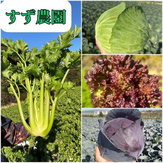 りんこ様(野菜)