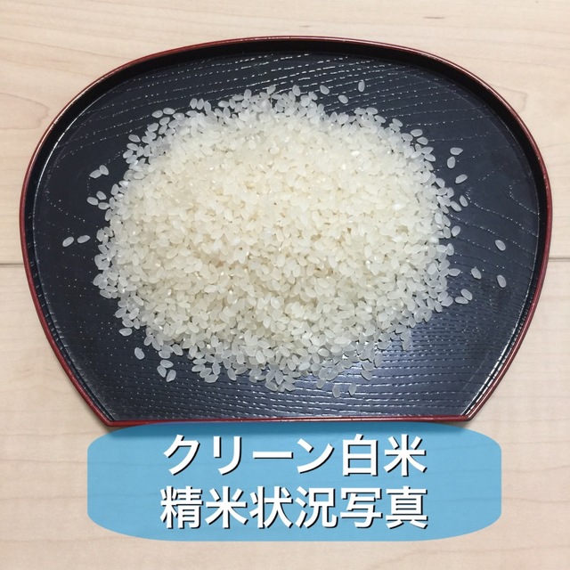 《20キロ玄米を精米して減量》新米お米18kg 令和4年鳥取県産 コシヒカリ  食品/飲料/酒の食品(米/穀物)の商品写真