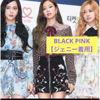 ザラ(ZARA)のZARA 刺繍スカート【BLACK PINK ジェニー着用】(ミニスカート)