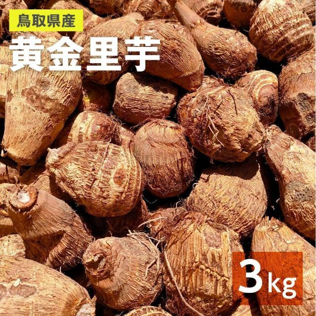 【鳥取県産】里芋　山芋　大和芋　 宅急便コンパクト　3kg　さといも　サトイモ 食品/飲料/酒の食品(野菜)の商品写真