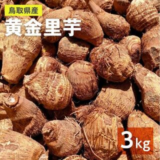 【鳥取県産】里芋　山芋　大和芋　 宅急便コンパクト　3kg　さといも　サトイモ(野菜)