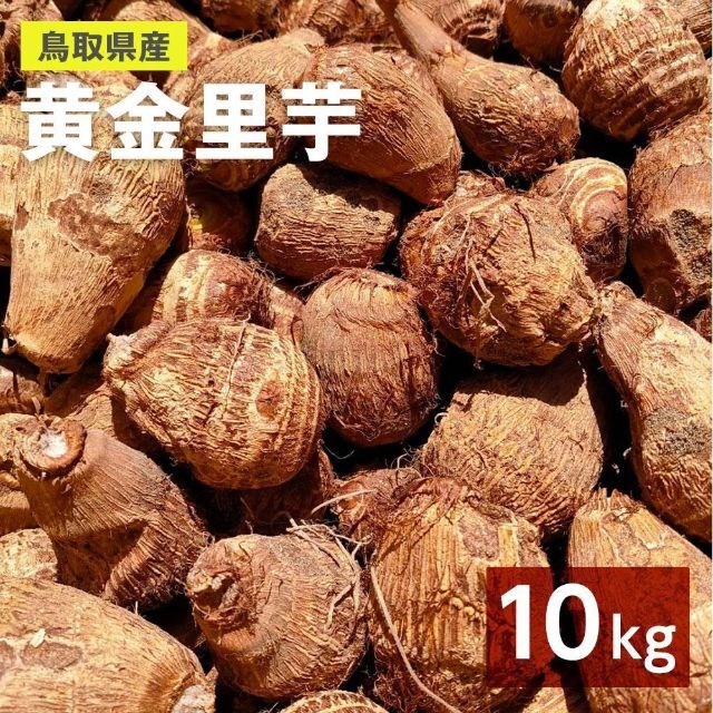 【鳥取県産】里芋　山芋　大和芋　 宅急便コンパクト　10kg　さといも　サトイモ 食品/飲料/酒の食品(野菜)の商品写真