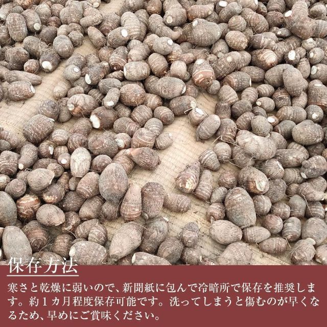 【鳥取県産】里芋　山芋　大和芋　 宅急便コンパクト　10kg　さといも　サトイモ 食品/飲料/酒の食品(野菜)の商品写真