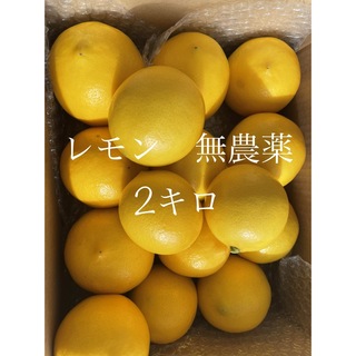 レモン　無農薬　2キロ【1月末まで】(フルーツ)