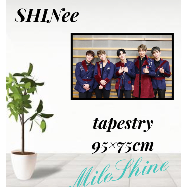 SHINee(シャイニー)のタンバルンバ様専用ページ♪ エンタメ/ホビーのタレントグッズ(アイドルグッズ)の商品写真