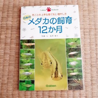 ガッケン(学研)のメダカの飼育12か月 リサイクル本(アクアリウム)