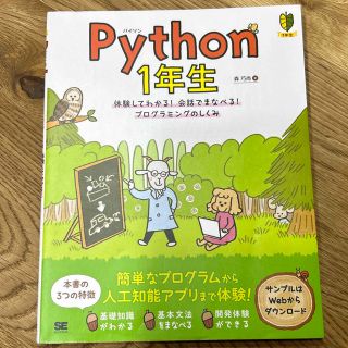 Ｐｙｔｈｏｎ１年生 体験してわかる！会話でまなべる！プログラミングのし(その他)