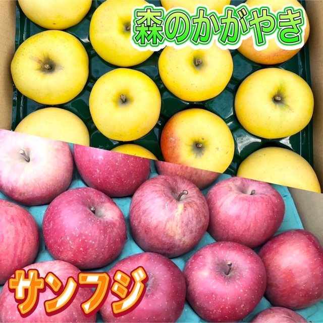 林檎食べ比べ　フルーツ　約2.5キロづつ　秀品