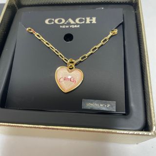 人気新品 新品、未使用 【新品】 COACH ポイズン アップル ネックレス