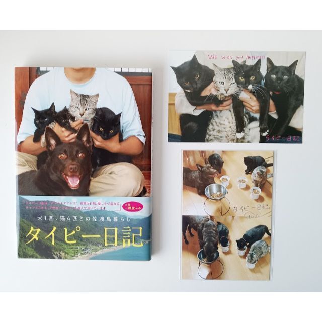 【新品】タイピー日記 犬1匹、猫4匹との佐渡島暮らし 単行本 おまけ付き エンタメ/ホビーの本(趣味/スポーツ/実用)の商品写真