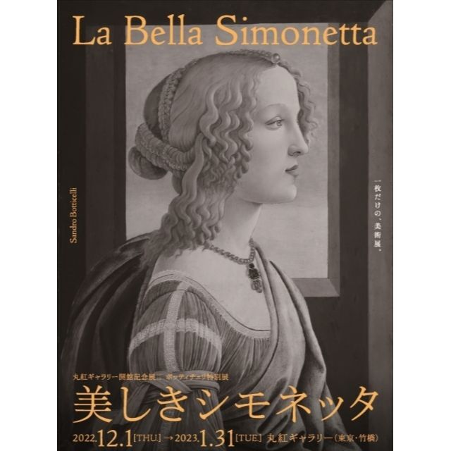 エゴン・シーレ展+ボッティチェリ特別展 美しきシモネッタ 招待券2枚 ...