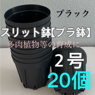 スリット鉢★プラ鉢直径6cm 2号　20個セット【新品】ブラック(プランター)