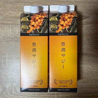 フィネス(Finess)の豊潤サジー 新品 2本セット(その他)