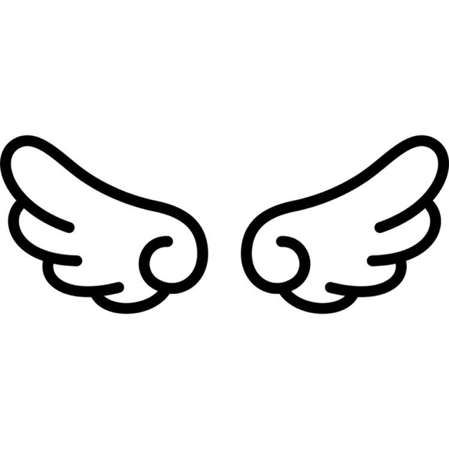 国内正規品】 持ち込み装飾 その他 - haaryurveda.de