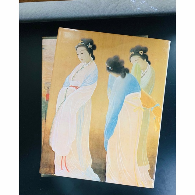 現代日本美術全集 菱田春草 今村紫紅 中古品 日本美術 エンタメ/ホビーの本(アート/エンタメ)の商品写真