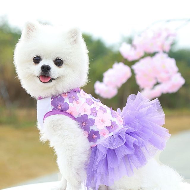 ペット犬のスカート猫の服春と夏のペットの服 犬用洋服 チュールドレス プリンセス