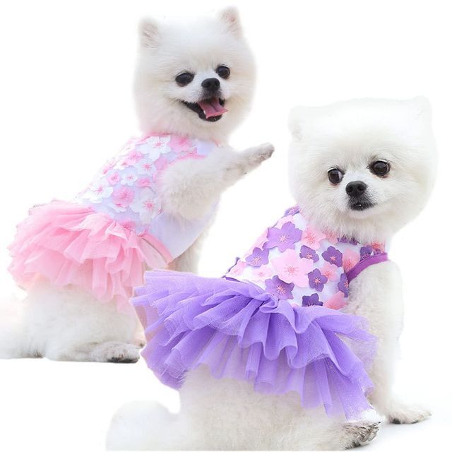 ペット犬のスカート猫の服春と夏のペットの服 犬用洋服 チュールドレス プリンセス