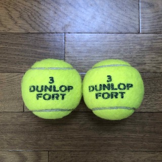 ダンロップ(DUNLOP)のダンロップテニスボール　2個    送料無料(ボール)