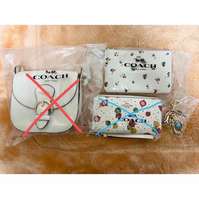 coach 福袋2023 コーチショルダーバック 新品 srv1.tshost.com.br