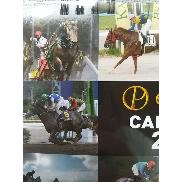 【オッズパーク】2023年卓上カレンダー/地方競馬/楽天競馬/大井 エンタメ/ホビーのコレクション(ノベルティグッズ)の商品写真