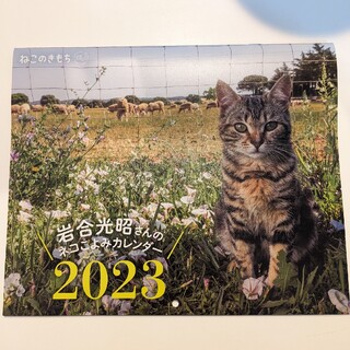 ベネッセ(Benesse)の岩合光昭さんのネコこよみカレンダー(カレンダー/スケジュール)