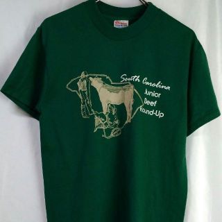 ヘインズ(Hanes)のアメリカ逆輸入古着半袖Tシャツプリントグリーン(Tシャツ/カットソー(半袖/袖なし))