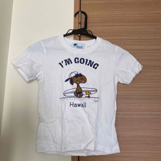 スヌーピー(SNOOPY)のSURF'S UP PEANUTS Tシャツ(Tシャツ/カットソー)