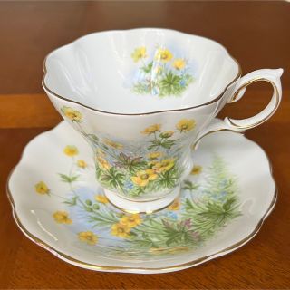 ロイヤルアルバート(ROYAL ALBERT)の【英国ビンテージ】ロイヤルアルバート★サニーサイドシリーズ　SUSAN★C/S(食器)