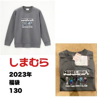 シマムラ(しまむら)のしまむら マインクラフト 福袋 2023(Tシャツ/カットソー)