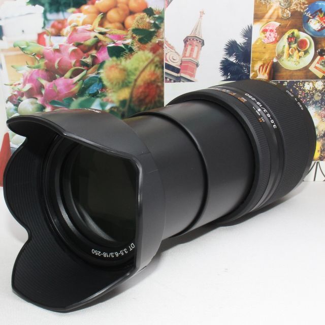 デジタル一眼 ️1本で広角から超望遠まで対応 ️ソニー DT 18-250mm aマウント用