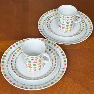 ローゼンタール(Rosenthal)の【独ビンテージ】ローゼンタール★ピエモンテ★エミリオプッチ★トリオ　ペア(食器)