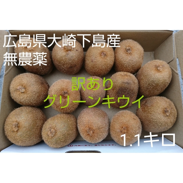 訳あり！皮まで食べられるグリーンキウイ1.1キロ 食品/飲料/酒の食品(フルーツ)の商品写真