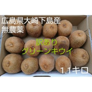 訳あり！皮まで食べられるグリーンキウイ1.1キロ(フルーツ)