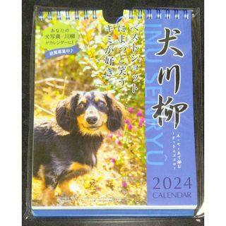 犬川柳 週めくりカレンダー 2024　ダックスフント(カレンダー/スケジュール)