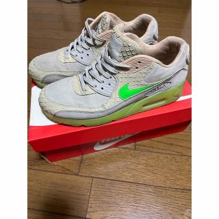 ナイキ(NIKE)のAir Max 90 New Species 海外展開 日本未入荷(スニーカー)