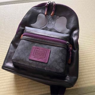 COACH - アカデミー バックパック ダンボ ディズニーリュックの通販 by ...