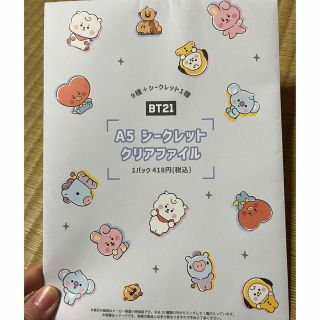 ビーティーイシビル(BT21)のBTS✨A5シークレットクリアファイル(アイドルグッズ)