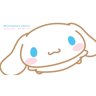 専用出品(アイドル)