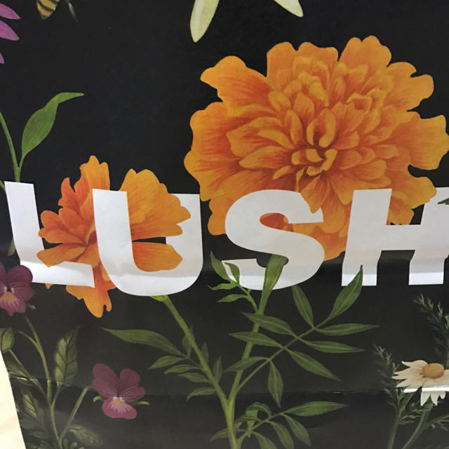 LUSH(ラッシュ)のラッシュ ボディーソープ コスメ/美容のボディケア(ボディソープ/石鹸)の商品写真