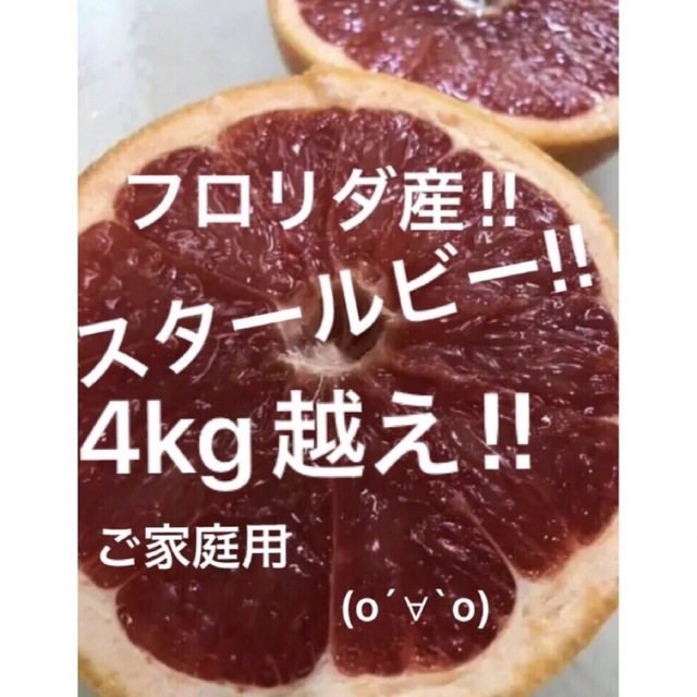 フロリダ産　グレープフルーツ　スタールビー　4kg越え 食品/飲料/酒の食品(フルーツ)の商品写真