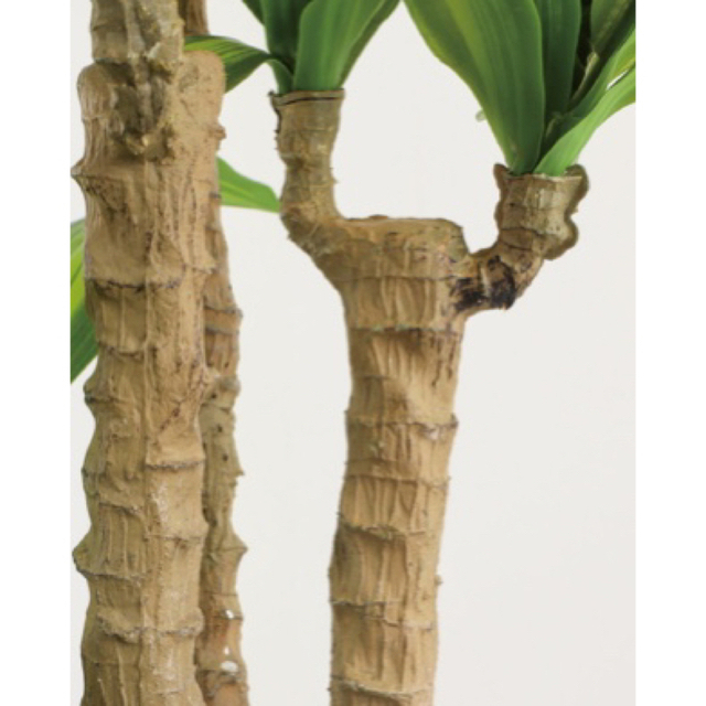 光触媒 人工観葉植物 ウォールグリーン フェイク フラワー 幸福の木 