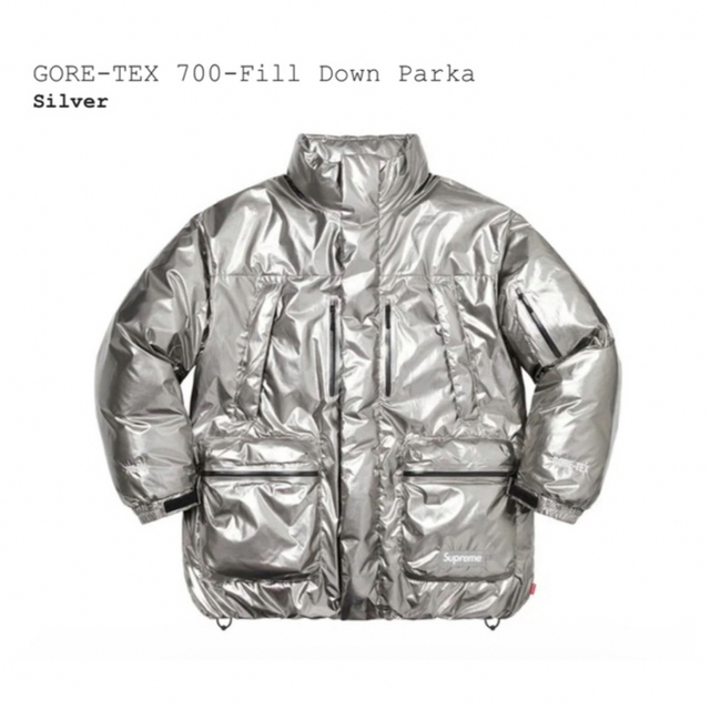 Supreme(シュプリーム)のSupreme GORE-TEX 700-Fill Down Parka メンズのジャケット/アウター(ダウンジャケット)の商品写真