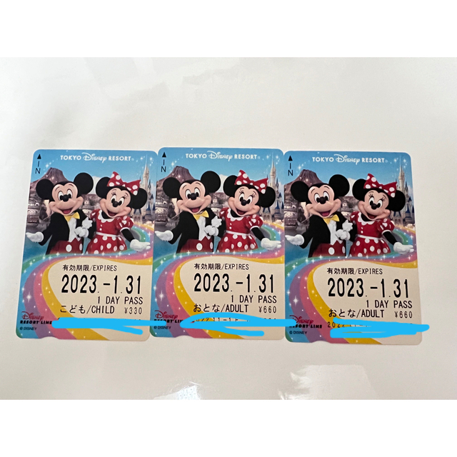 Disney(ディズニー)のリゾートライン1DayPass チケットの施設利用券(遊園地/テーマパーク)の商品写真