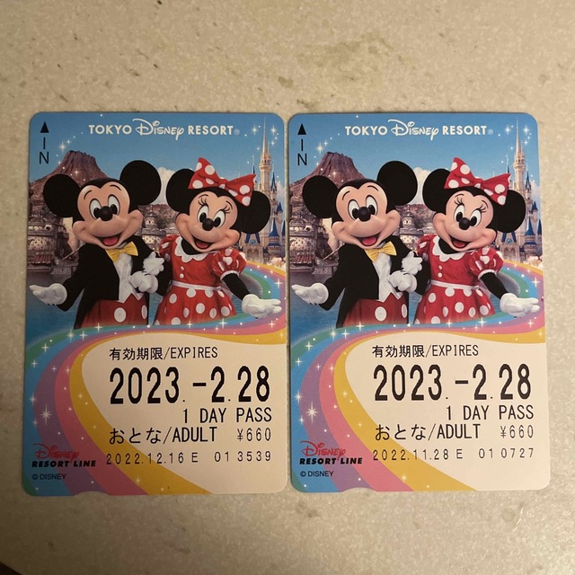 Disney(ディズニー)のディズニーリゾートライン 1DAY PASS チケットの施設利用券(遊園地/テーマパーク)の商品写真