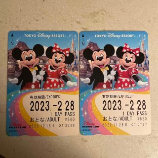 ディズニー(Disney)のディズニーリゾートライン 1DAY PASS(遊園地/テーマパーク)